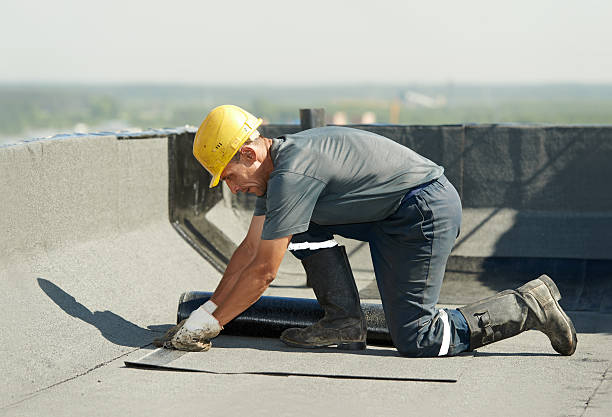 Best Commercial Insulation in Starke, FL